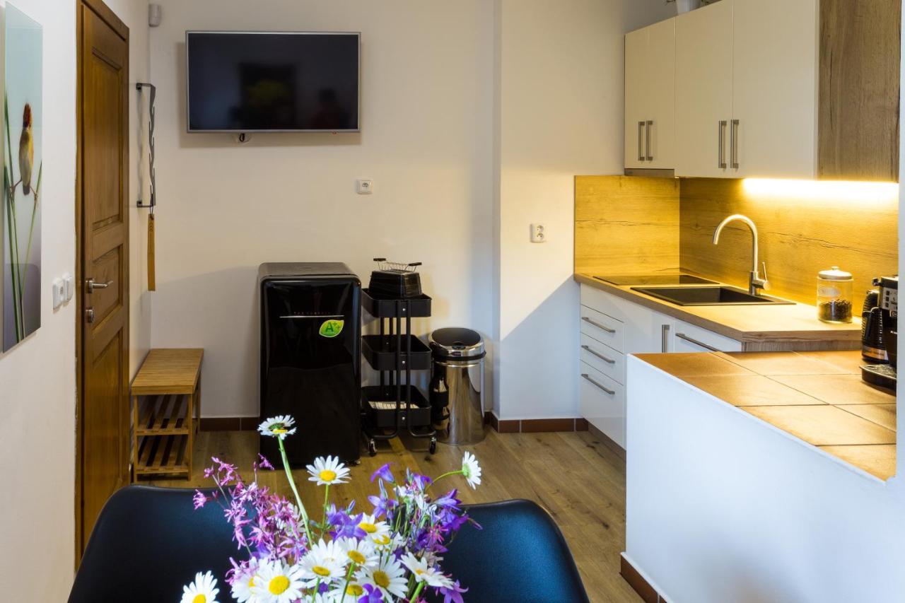Vila Jensen Harrachov Extérieur photo