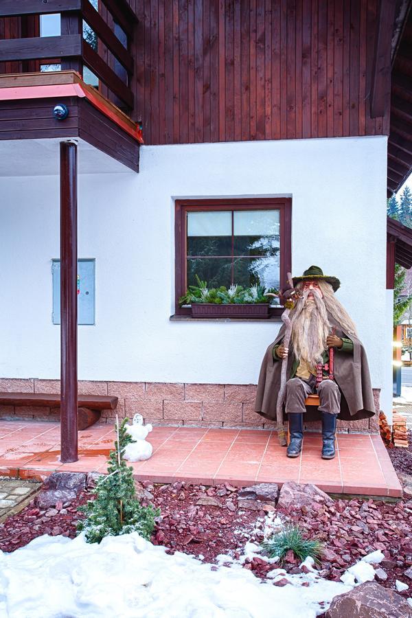 Vila Jensen Harrachov Extérieur photo